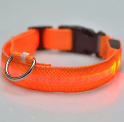 Led Glowing Pet Collar - TechGadgetsClub