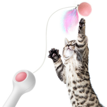 Federspielzeug für Katzen mit einziehbarem Stab